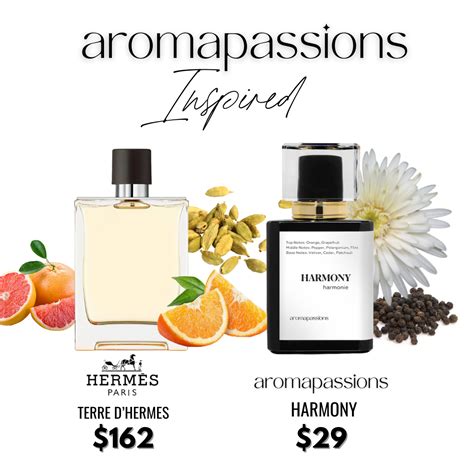 hermes terre dupe